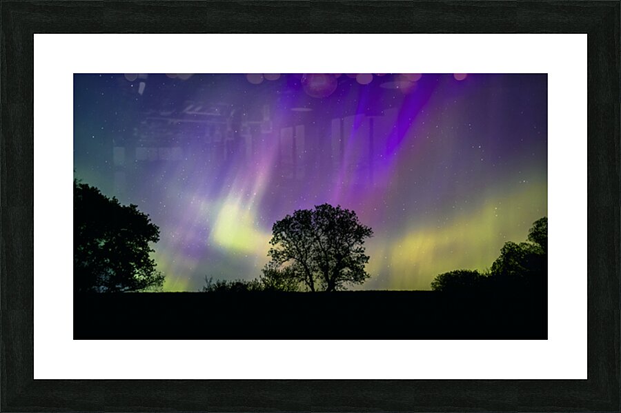 Lone Tree Under Aurora Glow Picture Frame print