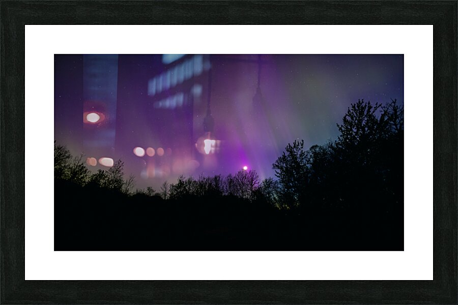 Aurora and Moonlight over the Canopy Picture Frame print