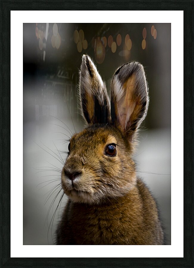 Bunny Picture Frame print