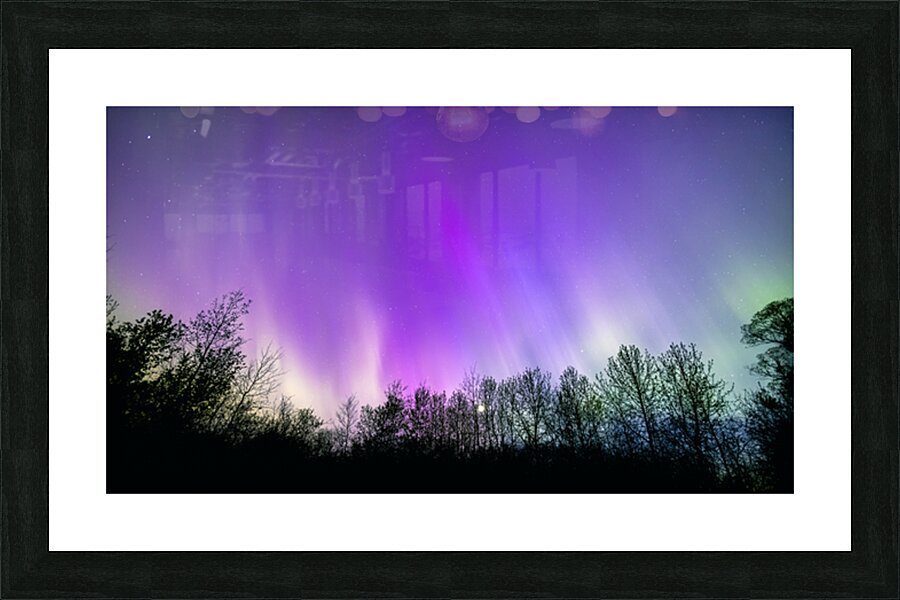 Northern Lights Above the Canopy Picture Frame print
