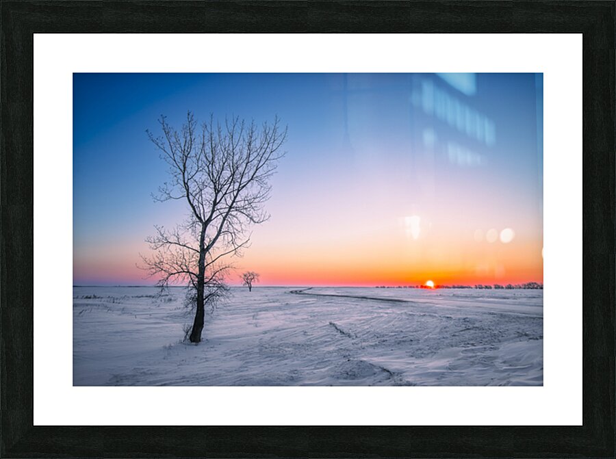 Lone Tree at Sunrise Picture Frame print