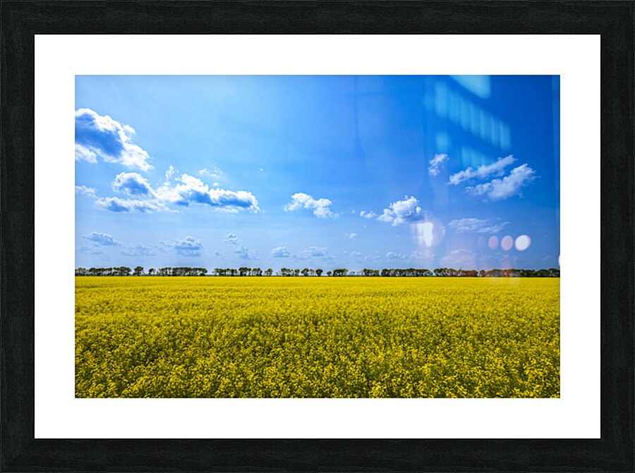 Canola Field Impression et Cadre photo