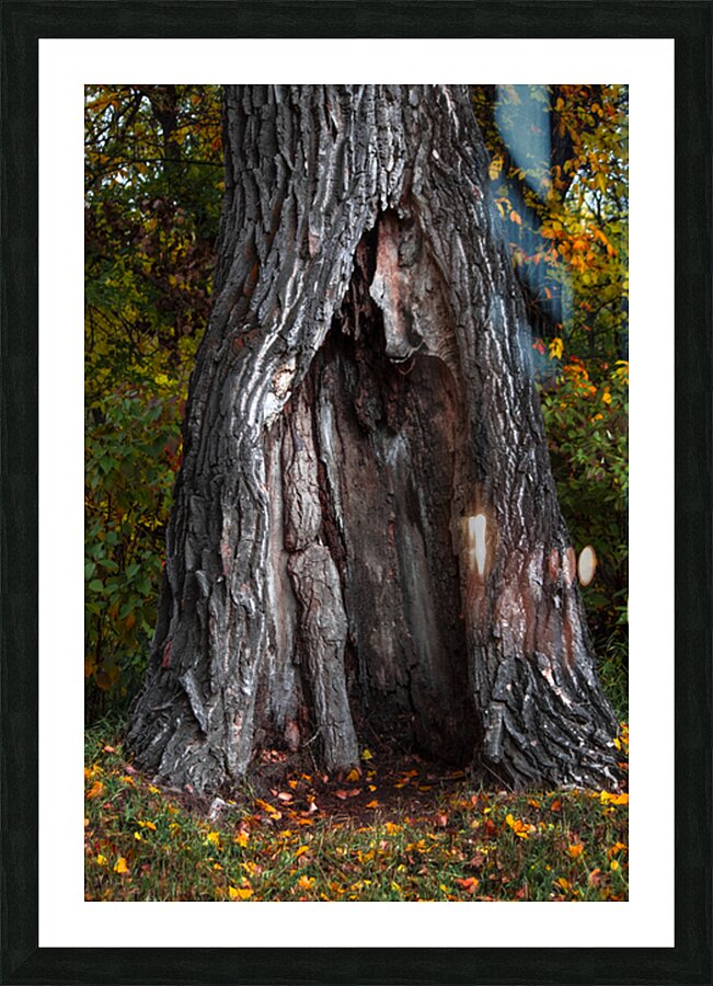 Tree Shelter Picture Frame print