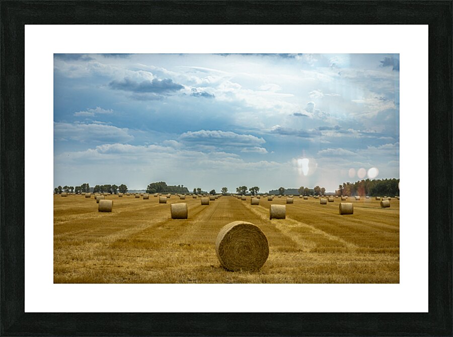 Hay Bales Under a Cloudy Sky Picture Frame print