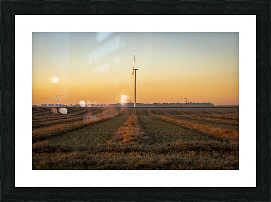 Wind Turbines at Sunset Picture Frame print
