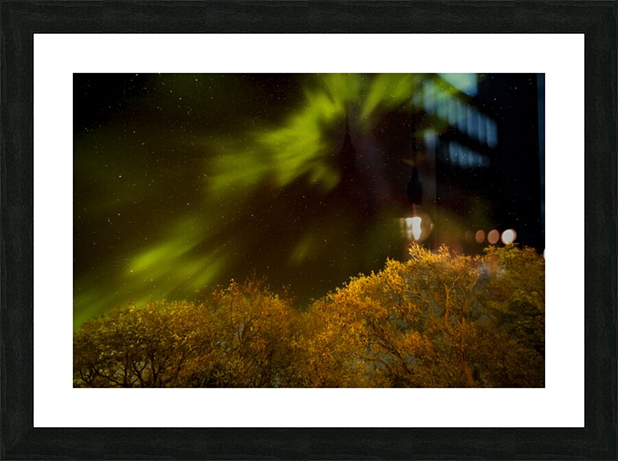 Northern Light Above the Canopy Picture Frame print