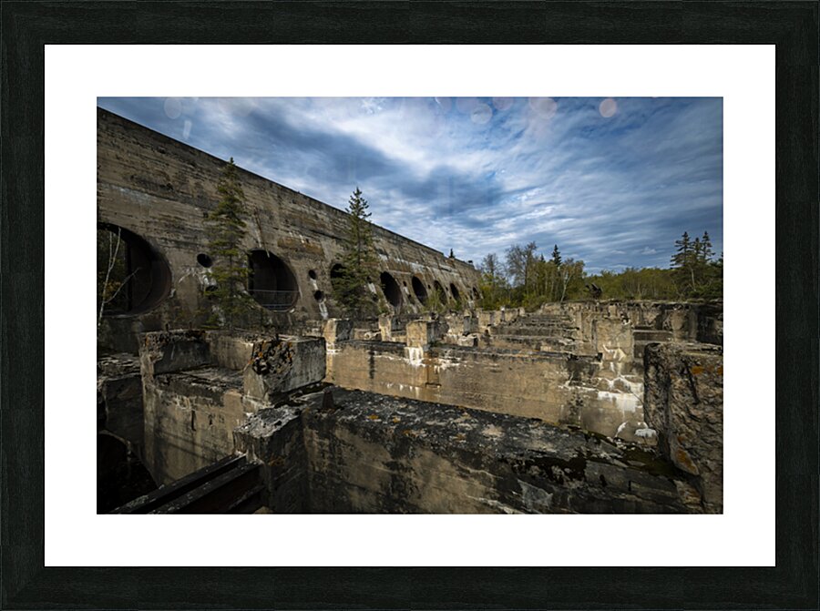 Amongst the Ruins Picture Frame print