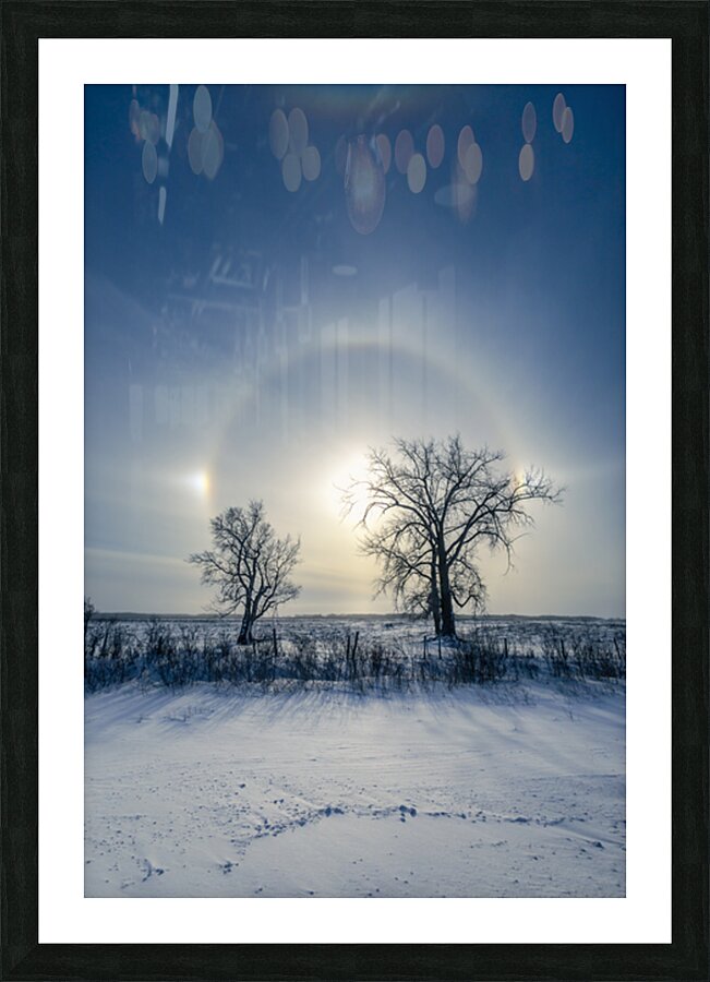 Sundogs Behind Lone Trees Picture Frame print