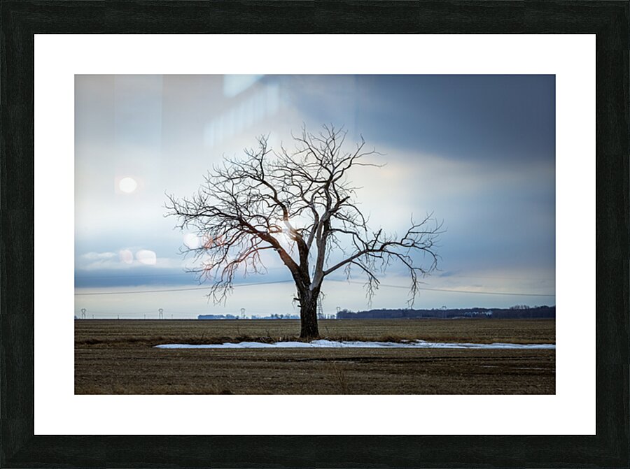 The Last Stand Picture Frame print