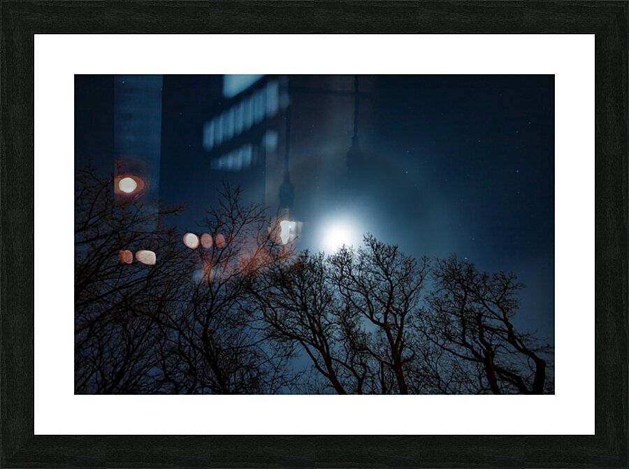Moon Halo Above the Canopy Picture Frame print