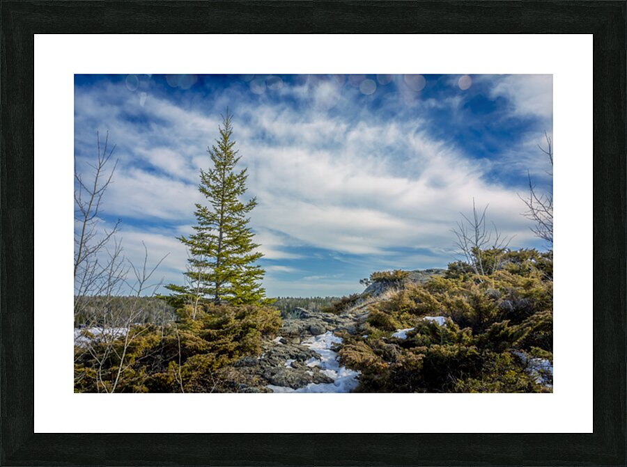 Dragon Fire Trail Picture Frame print