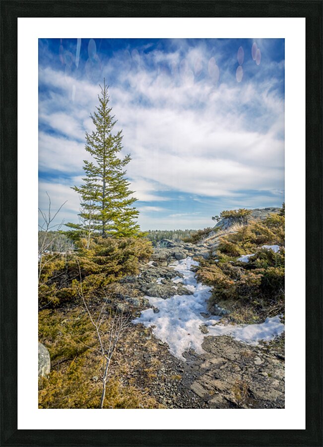 Dragon Fire Trail Picture Frame print