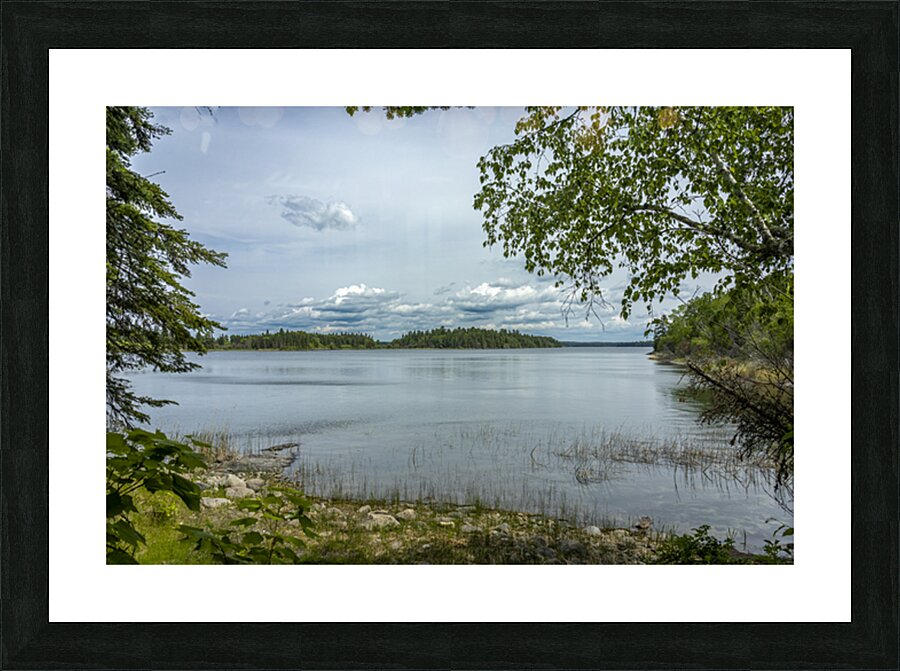 Shoal Lake View Picture Frame print