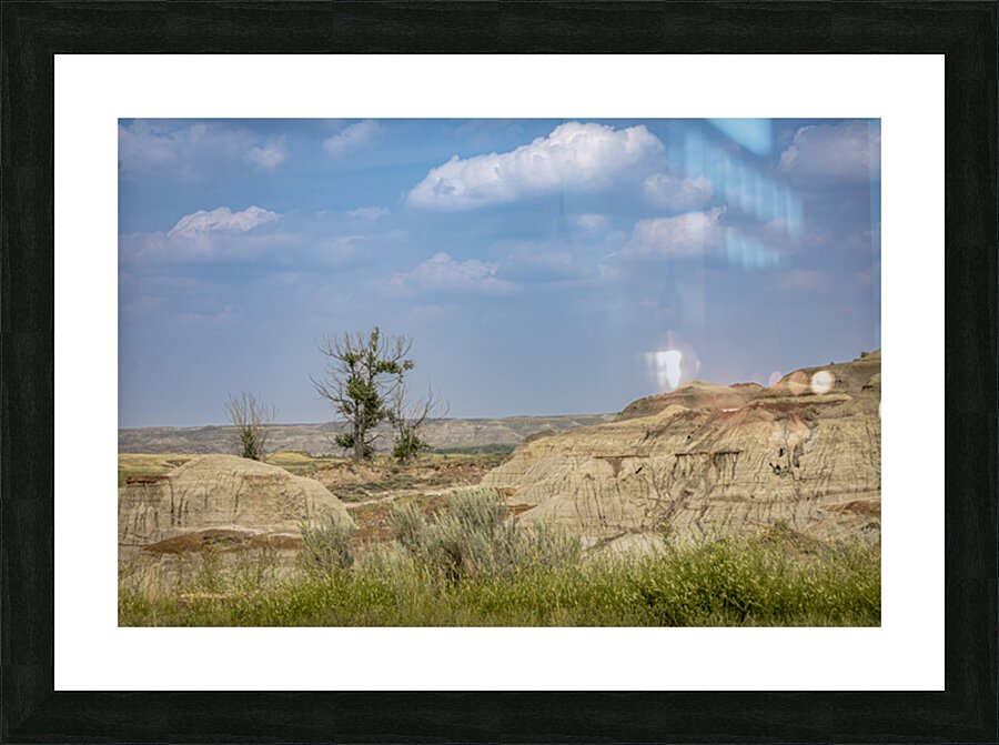 Lone Tree in the Badlands Picture Frame print