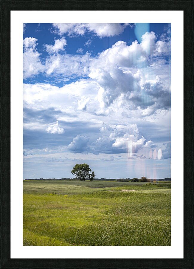 Lone Tree on a Cloudy Day Picture Frame print