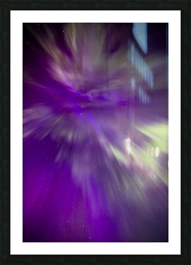 Night Bloom Picture Frame print