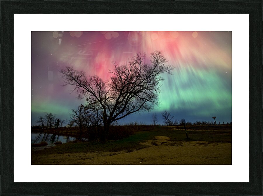 Under Heavens Blessing Picture Frame print