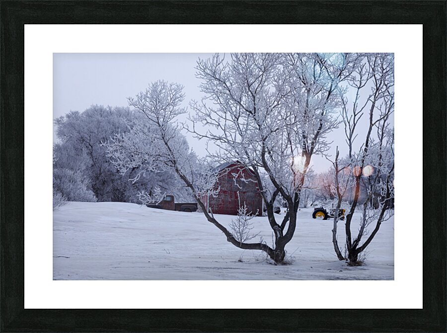 Hoarfrost Morning Over a Red Barn Picture Frame print