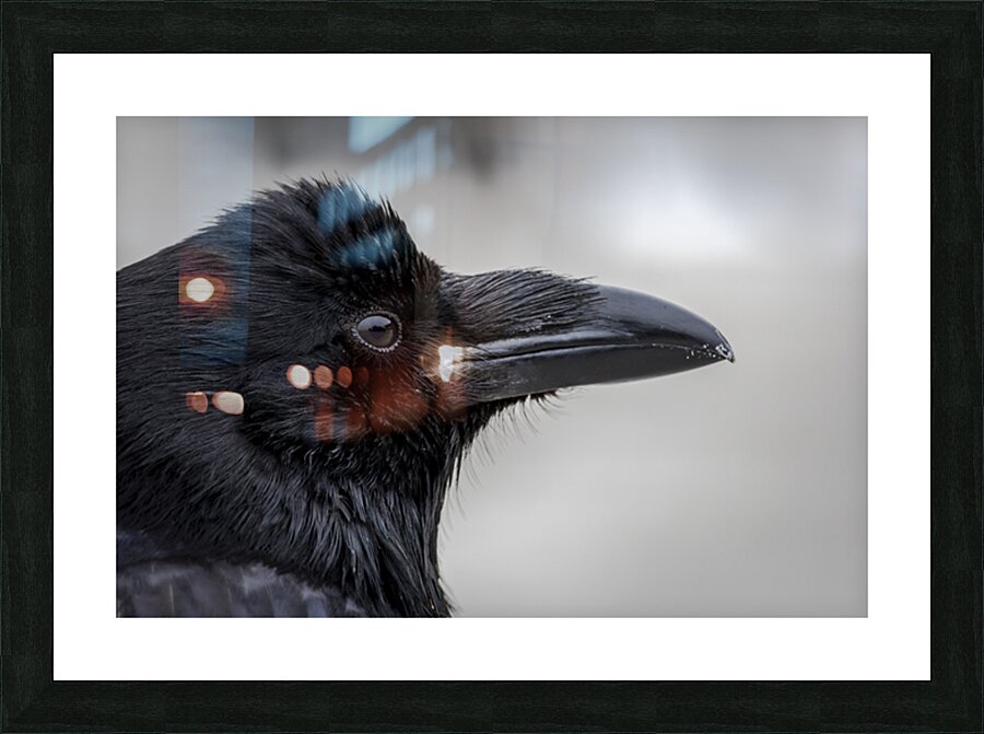 Raven Profile Picture Frame print