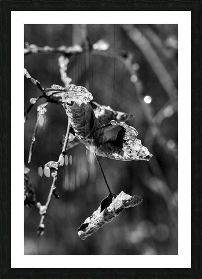 Frosted Edges Picture Frame print