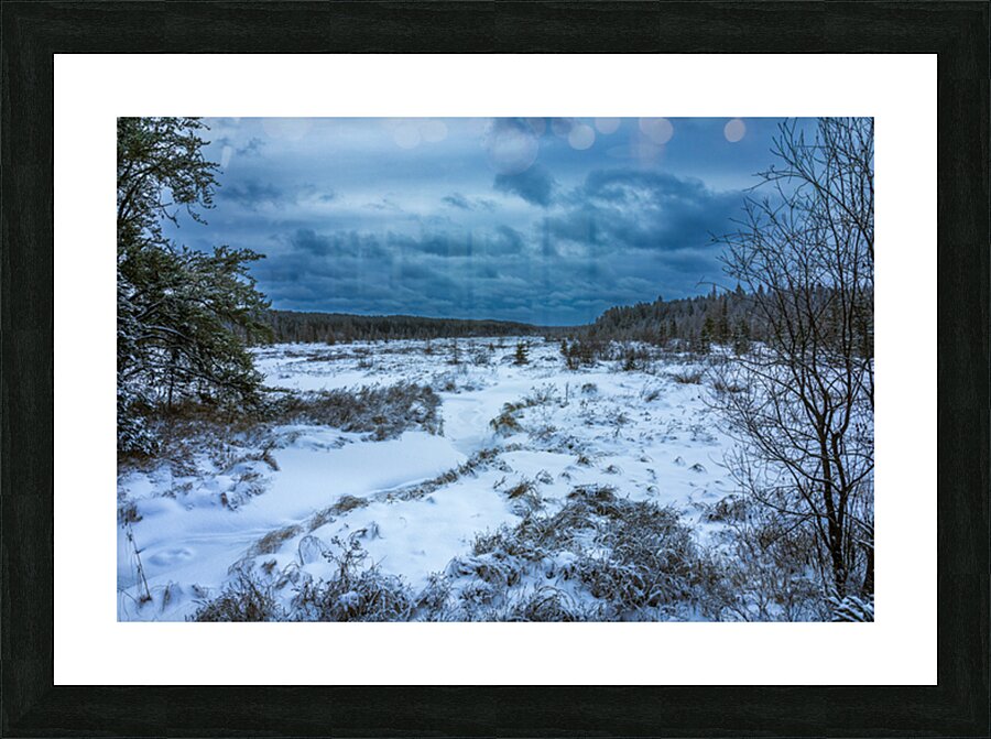 Winter Quietude Picture Frame print