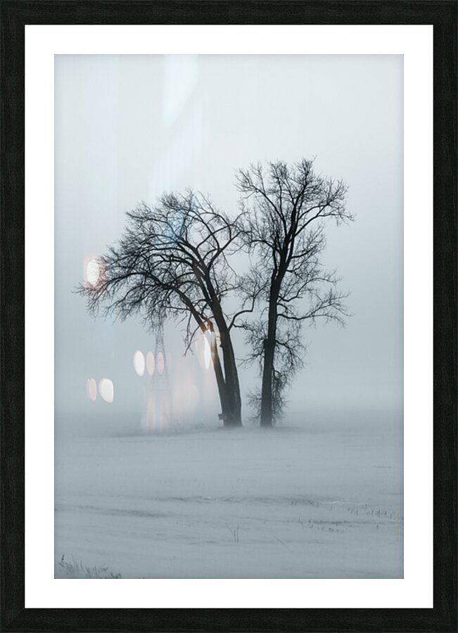 Lone Tree in Winter Storm Picture Frame print