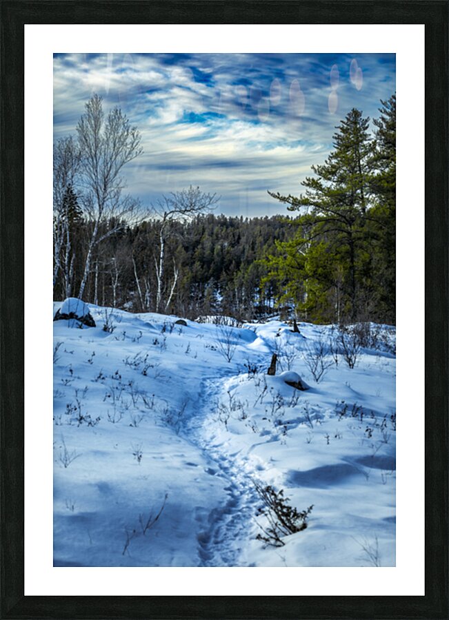 Winter Trail Picture Frame print