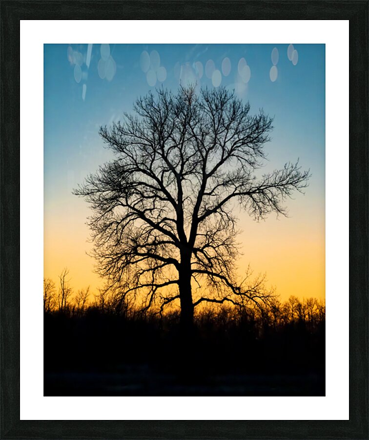 Lone Tree at Dusk Picture Frame print