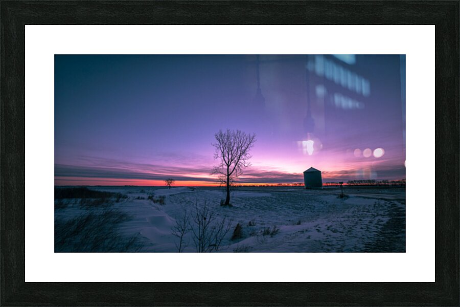 Lone Trees and Grain Bin Picture Frame print