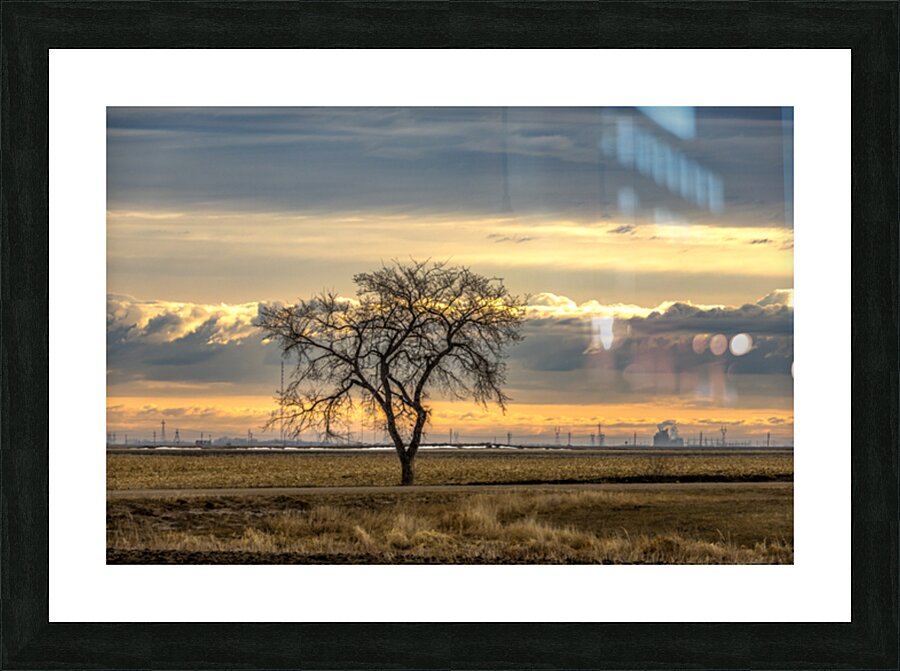 Lone Tree at Sunrise Impression et Cadre photo
