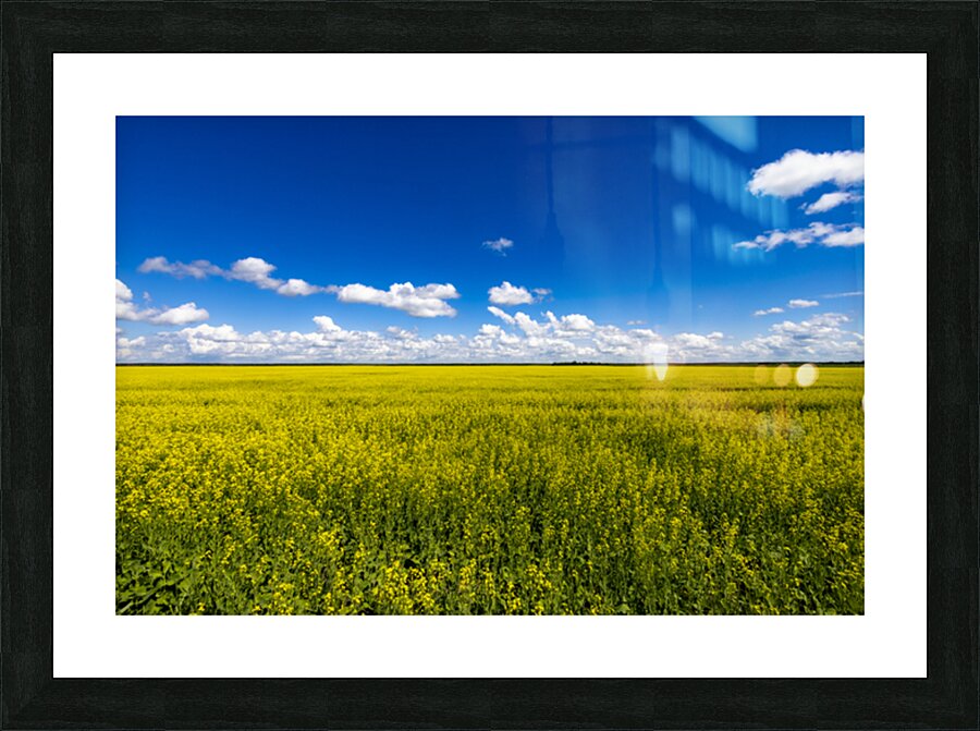 Blue and Yellow Picture Frame print