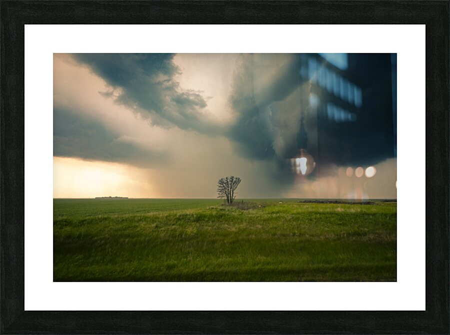 Lone Tree and Incoming Storm Impression et Cadre photo