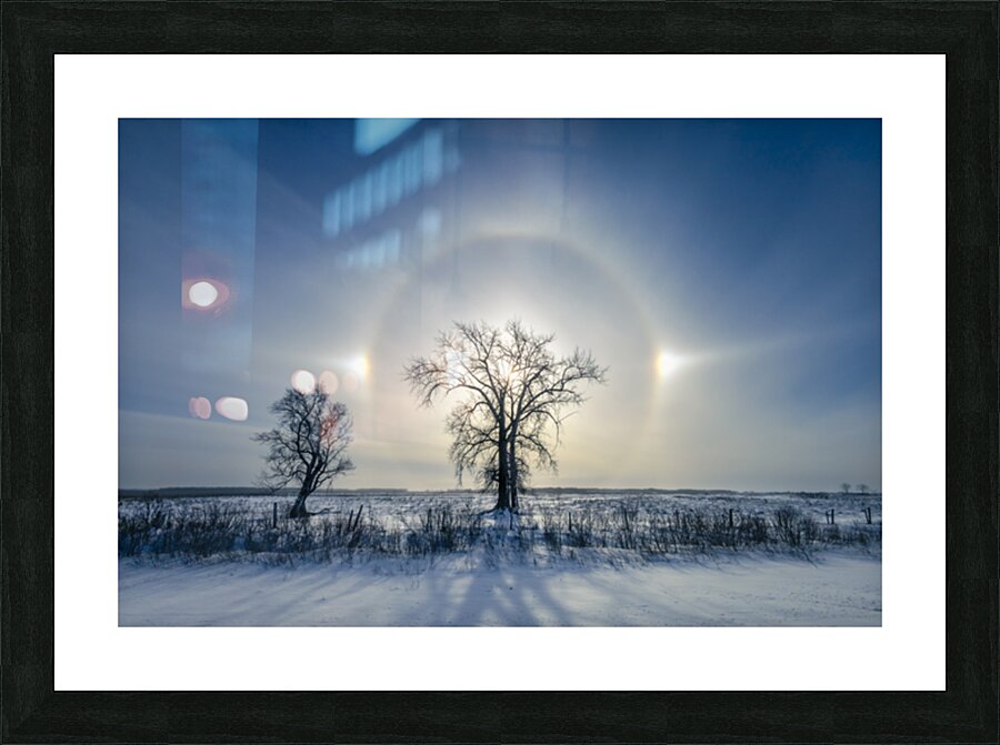 Sundogs Behind Lone Trees Picture Frame print