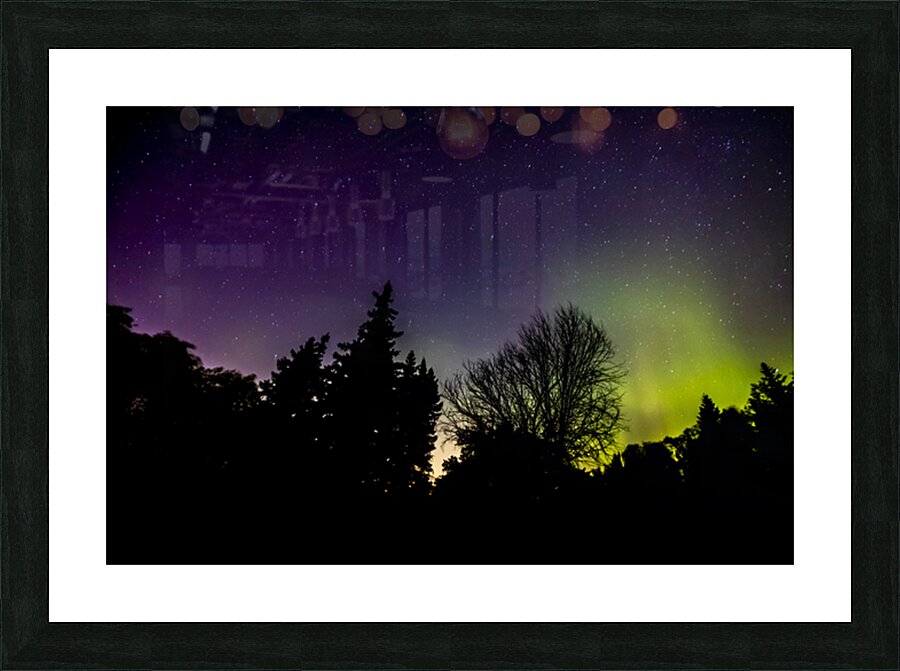 Aurora In the Woods Picture Frame print