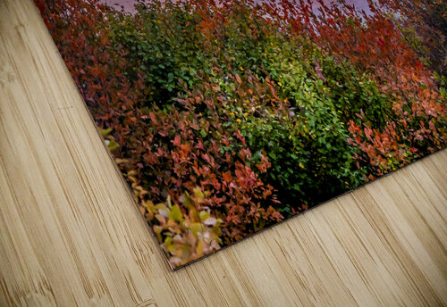 Red Sunset Marc Gilbert Photography puzzle