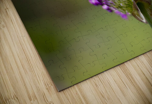 Allium Flower Marc Gilbert Photography puzzle