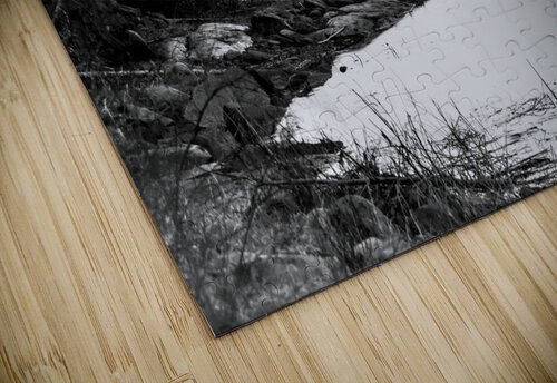 Reflection Marc Gilbert Photography puzzle