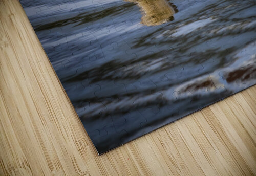 Otter Marc Gilbert Photography puzzle