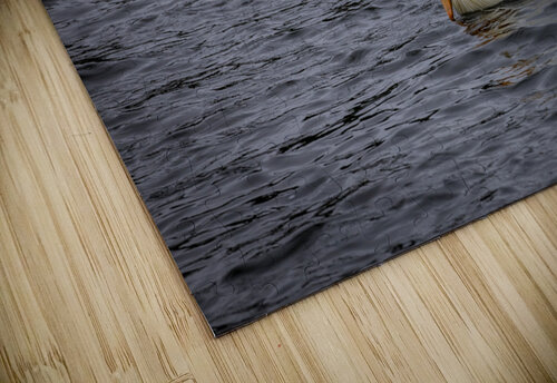 Pelicans Marc Gilbert Photography puzzle