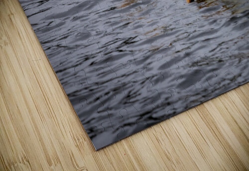 Pelicans Marc Gilbert Photography puzzle