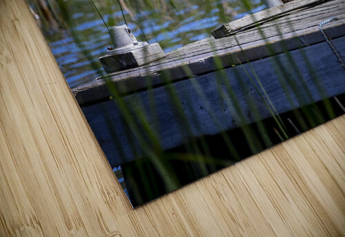 Otter Marc Gilbert Photography puzzle