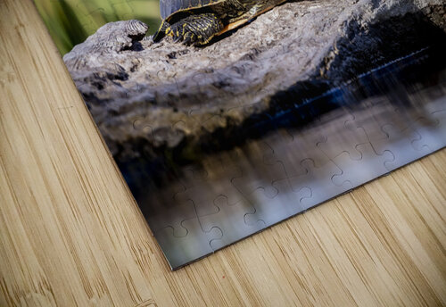 Painted Turtle Marc Gilbert Photography puzzle