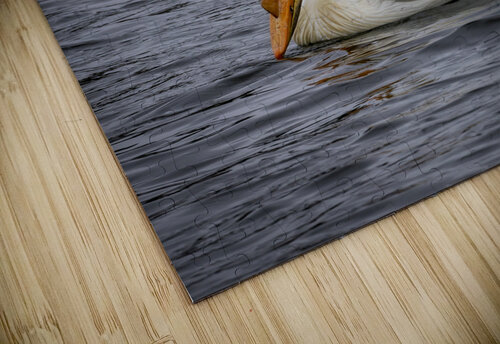 Pelicans Marc Gilbert Photography puzzle