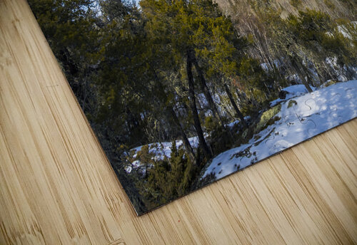 Pine Point Rapids Marc Gilbert Photography puzzle