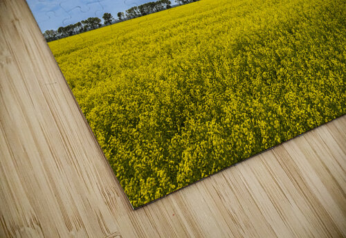 Canola Field Marc Gilbert Photography puzzle