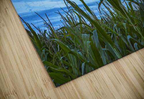 Cornfield at Sunset Marc Gilbert Photography puzzle