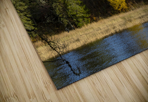 Lone Tamarack Tree Marc Gilbert Photography puzzle