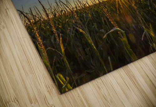 Sunset in the Cornfield Marc Gilbert Photography puzzle