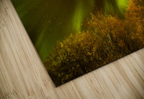 Northern Lights Above the Canopy Marc Gilbert Photography puzzle