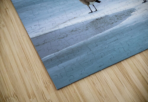Geese During Spring Thaw Marc Gilbert Photography puzzle